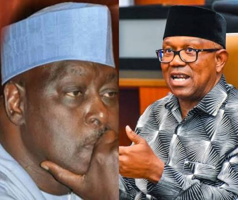 I Told Peter Obi That This Coalition Will Be Good For Him, And He Should Not Fear Primaries” Lawal