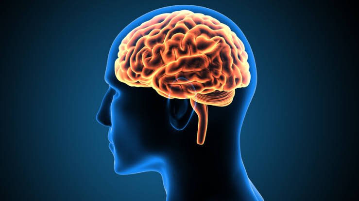 Doing This One Daily Habit Differently Could Protect Your Brain as You Age