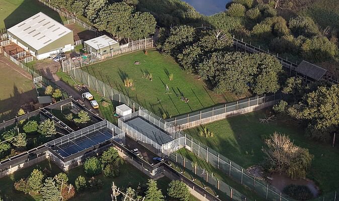 Man’s tragic final moments in tiger enclosure as visitors ‘not strong enough’ to stop him