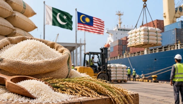 Pakistan To Export 70,000 More Tons Of Rice To Malaysia
