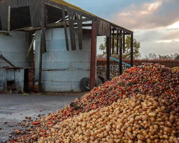 The UK has a food waste problem and a food poverty problem – and we have a plan to fix them both