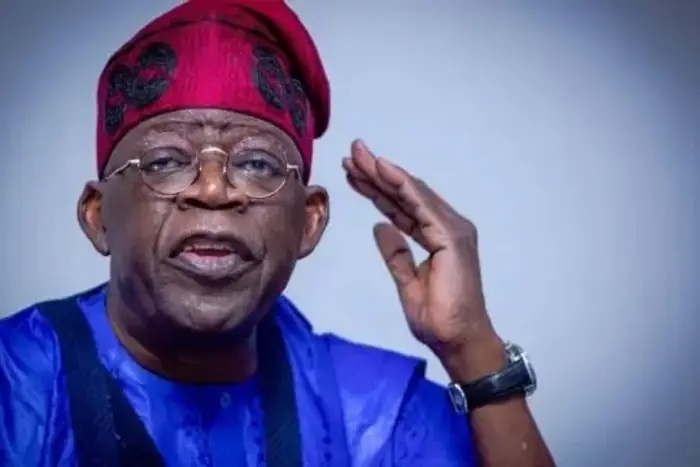 Tinubu orders clearance of 300+ electricity equipment containers stranded at ports for 20 years to boost power supply