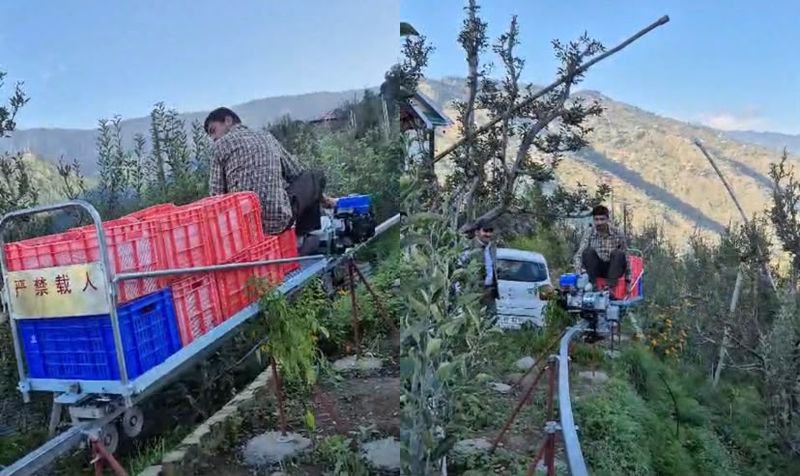 Himachal apple grower installs Chinese monorail in Shimla orchard to tackle labour shortage