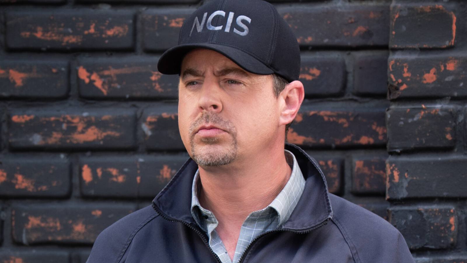 NCIS Officially Confirms Timothy McGee’s Exit Path