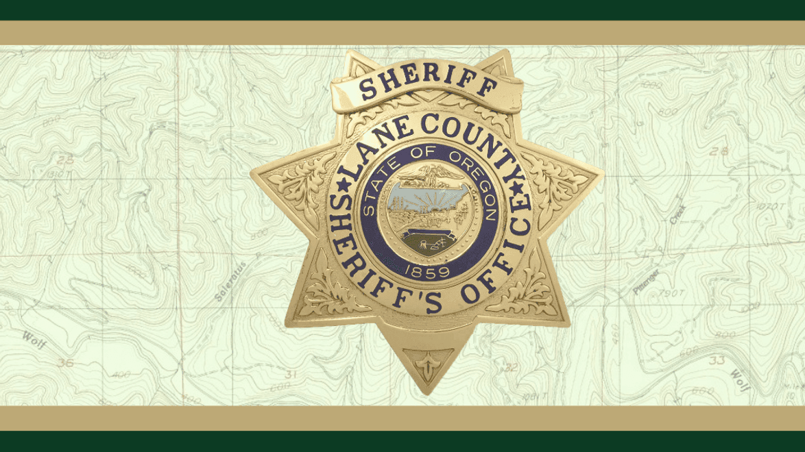 Pedestrian killed in hit-and-run crash; LCSO asks for help identifying vehicle involved
