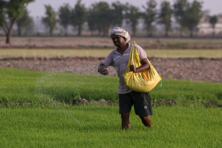 UN official warns of looming food crisis as Hormuz fertiliser plan stalls