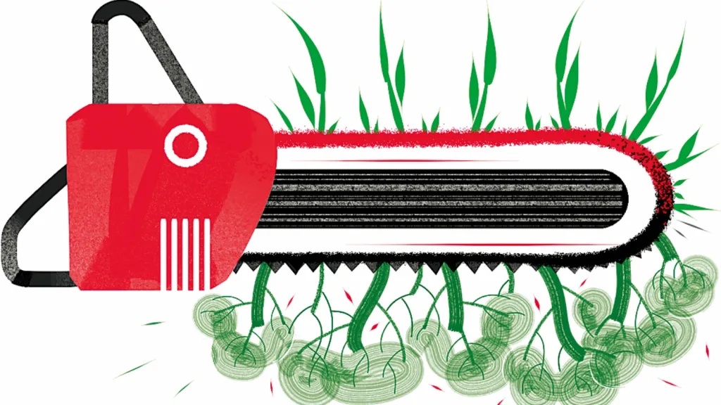 Opinion: How not to restore a forest — the inept dismantling of Delhi’s Central Ridge