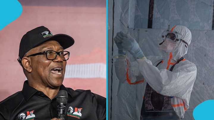 Ebola in Nigeria: Opposition Demands Answers from Tinubu Over Ebola Fund