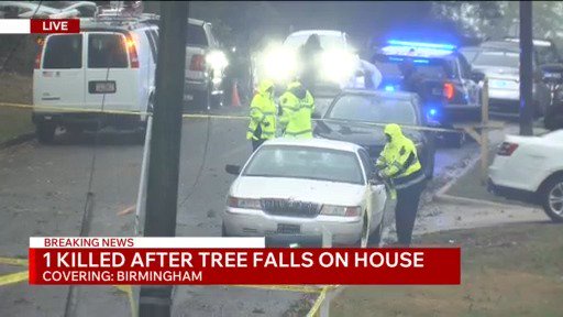 Alabama man killed after tree falls on home identified