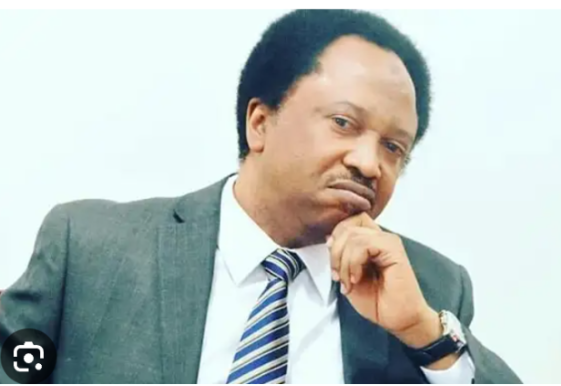 Reactions Trail Sani’s Comment As INEC Announces Southeast As Region With Lowest Registered Voters