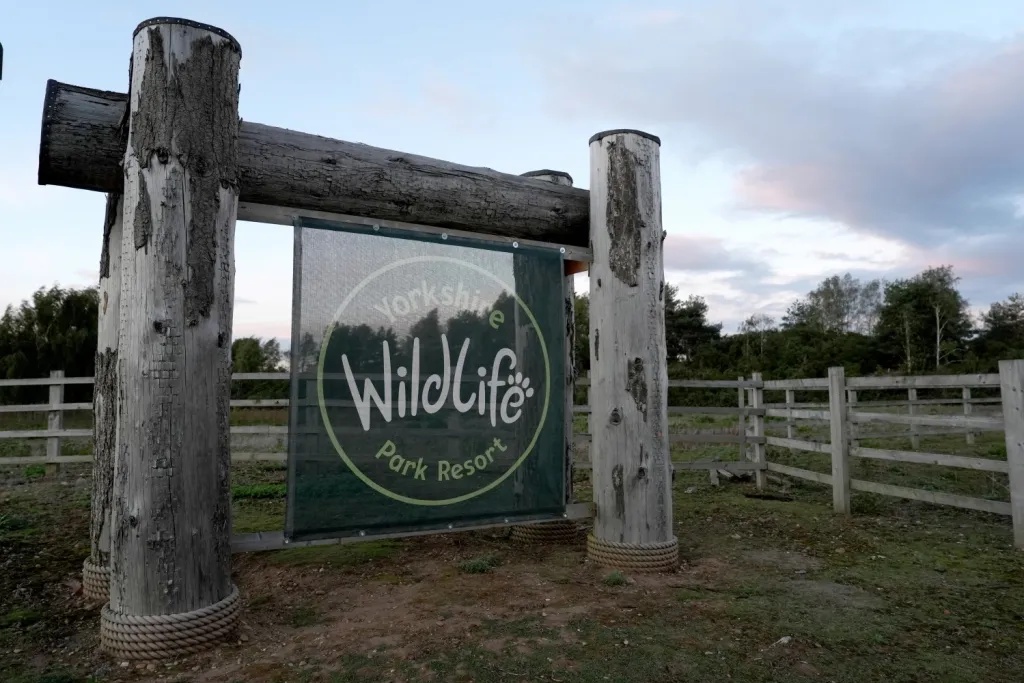 Tiger that killed man who jumped into pen will NOT be put down after horror attack, Yorkshire Wildlife Park confirms