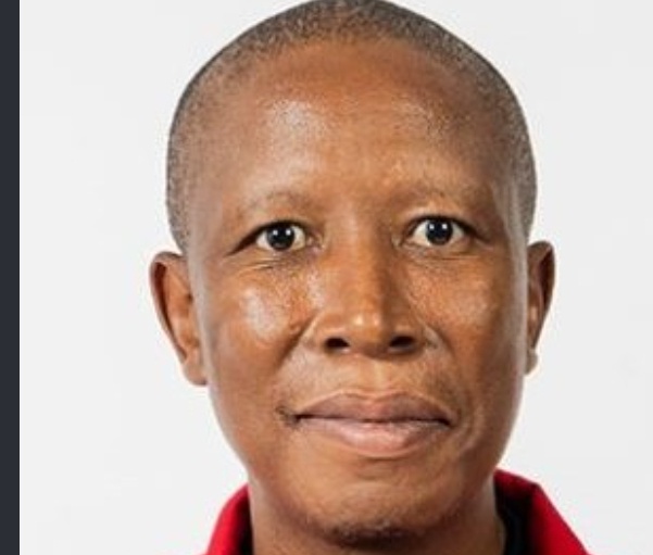 Julius Malema Five-Year Prison Case Takes New Turn After High Court Decision