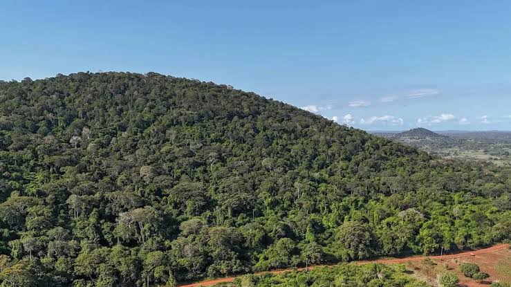 Two Chinese Giants Pull Out Of Race For Kenya’s Mrima Hill Treasure As Five Bidders Fight On