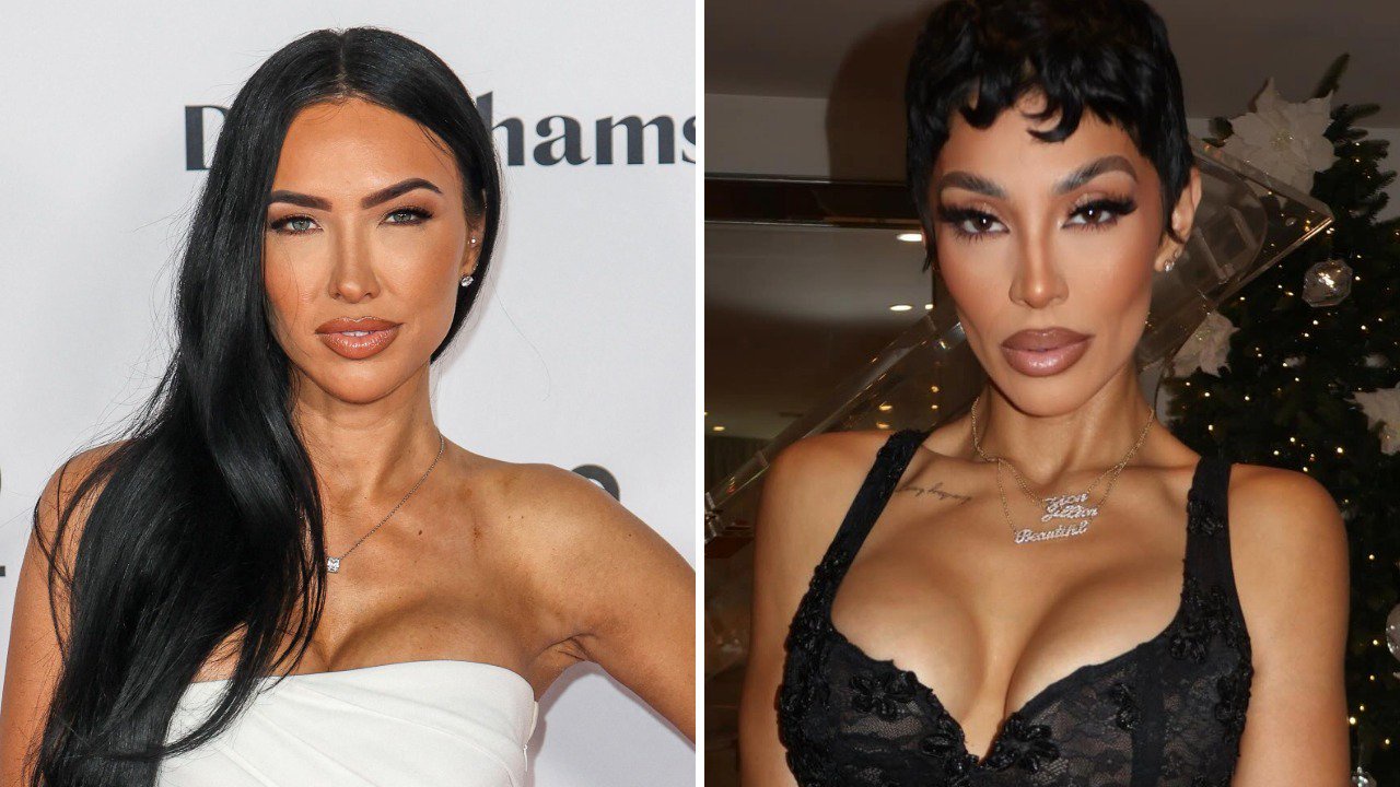 Nick Cannon’s Baby Mamas Bre Tiesi and Abby De La Rosa Appear to Exchange Barbs: ‘Chihuahua Energy’
