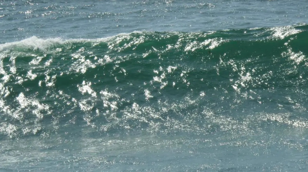 What’s going to happen in the midterm election? Find out here. (Maybe)
