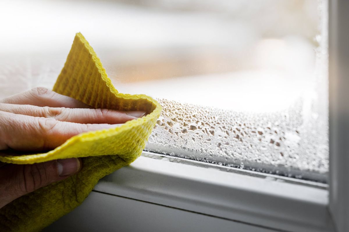 ‘Keep condensation away’ with woman’s simple 62p item window hack