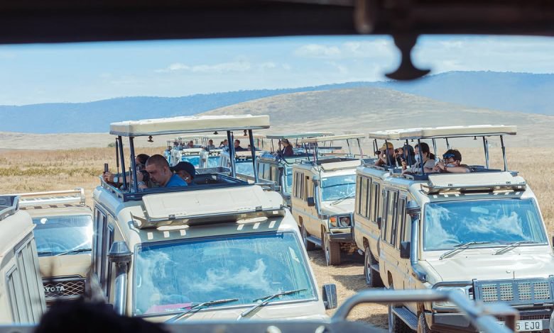 Ngorongoro and Serengeti parks’ beauty captivates visiting Indian travel agents