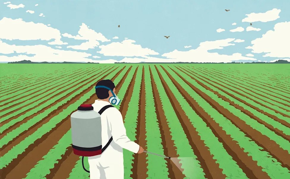 Pesticides Are Everywhere, Here’s What You Should Know