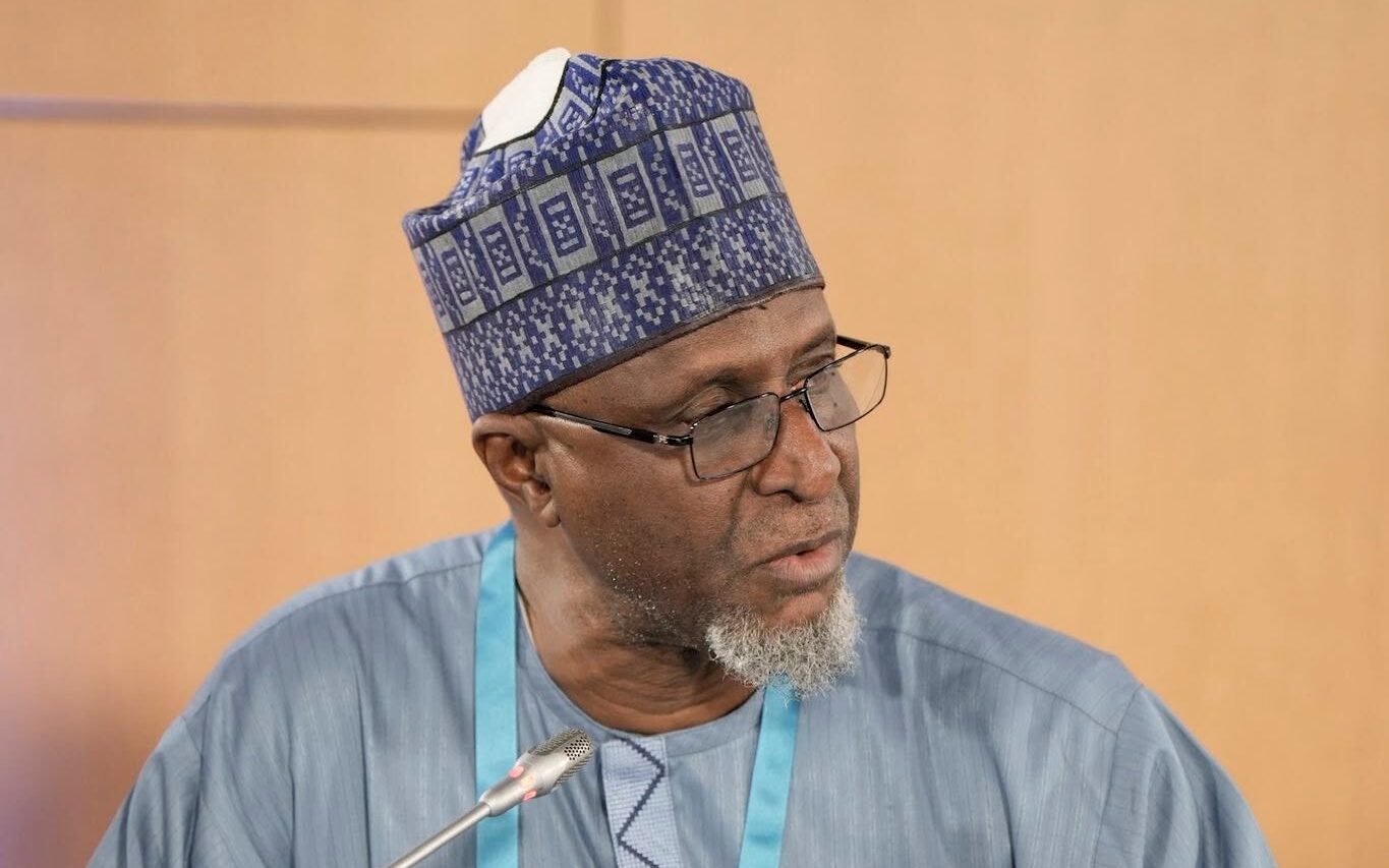 CBD COP17: Nigeria urges developed countries to fulfil $30bn annual biodiversity funding pledge