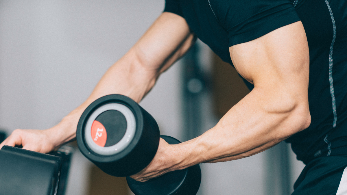 3 Best Beginner Bicep Exercises for Super Jacked Arms Faster