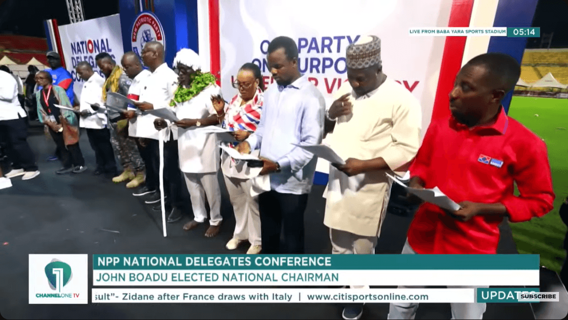 Photos: List of newly elected national executives of NPP