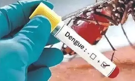 Karur Admin on War-Footing to Tackle Dengue