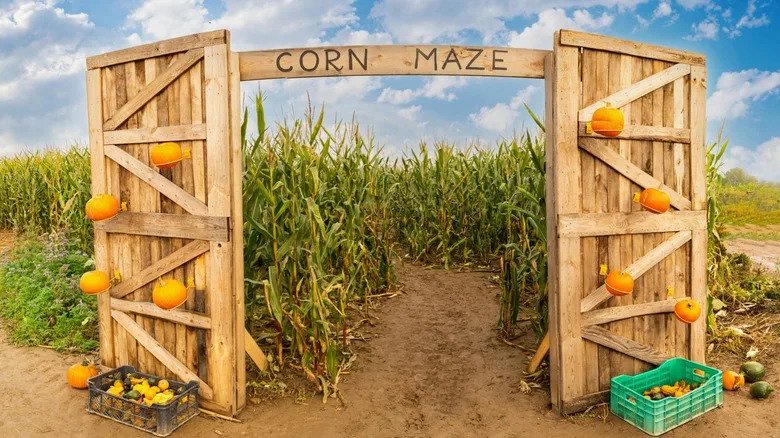 The 8 Best Corn Mazes In The US, Ranked By Reviews
