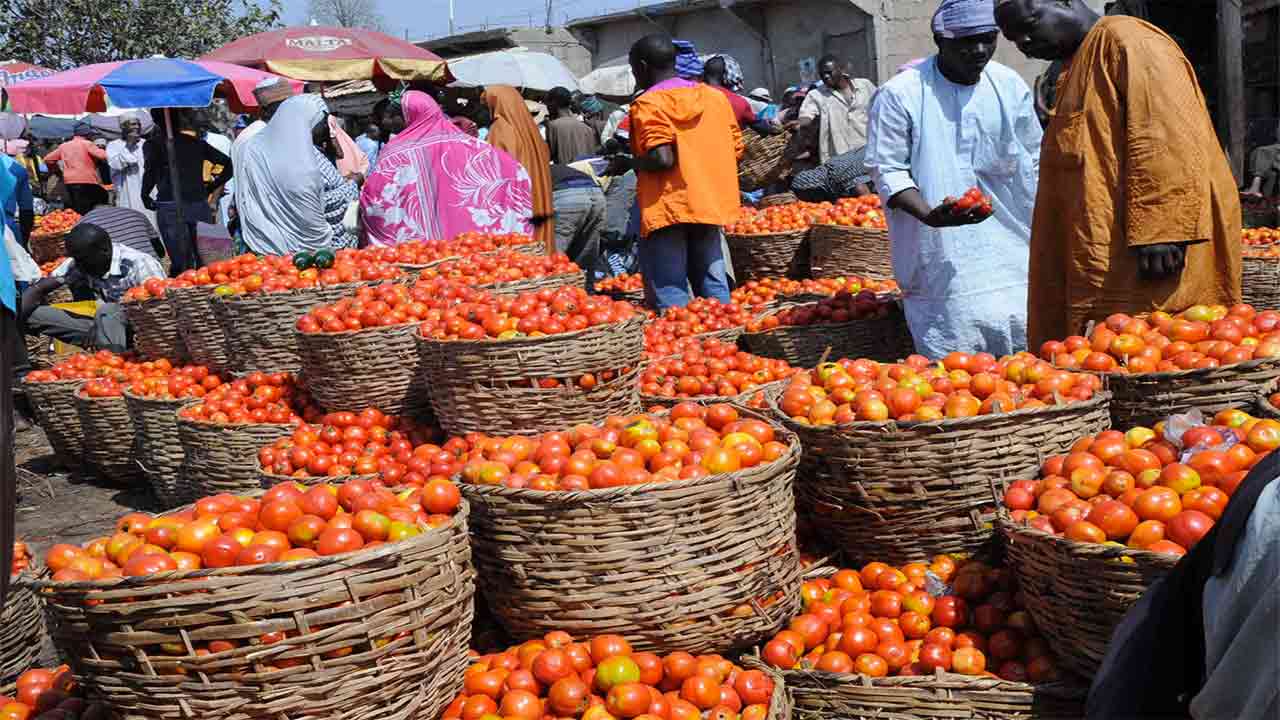 Tomato prices remain high as pepper gets cheaper in Lagos