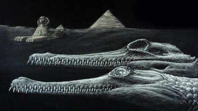 Scientists identified a new extinct crocodile species from the same Egyptian rocks used to build the Great Sphinx; even the fossil is missing the tip of its snout, echoing the monument
