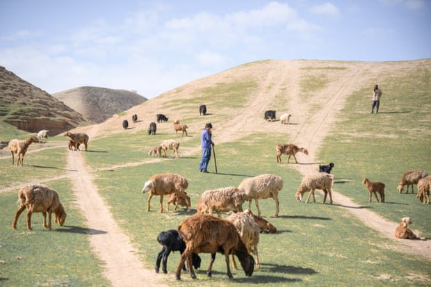 ‘I am still a child, it cannot be good to be married’: how drought forces Afghan families to sell girls as brides