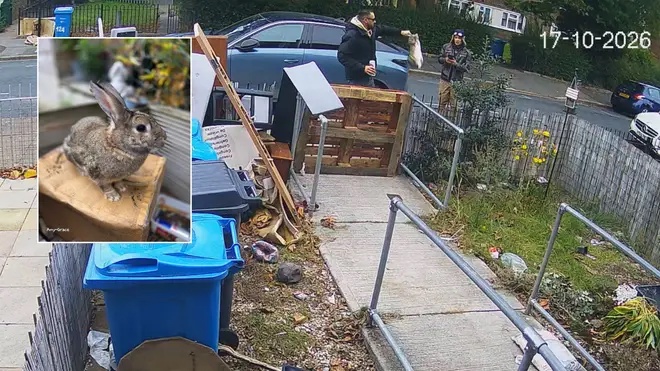 Woman hunts ‘thieves’ who filmed themselves grabbing her rabbit Peter by his ears from her garden