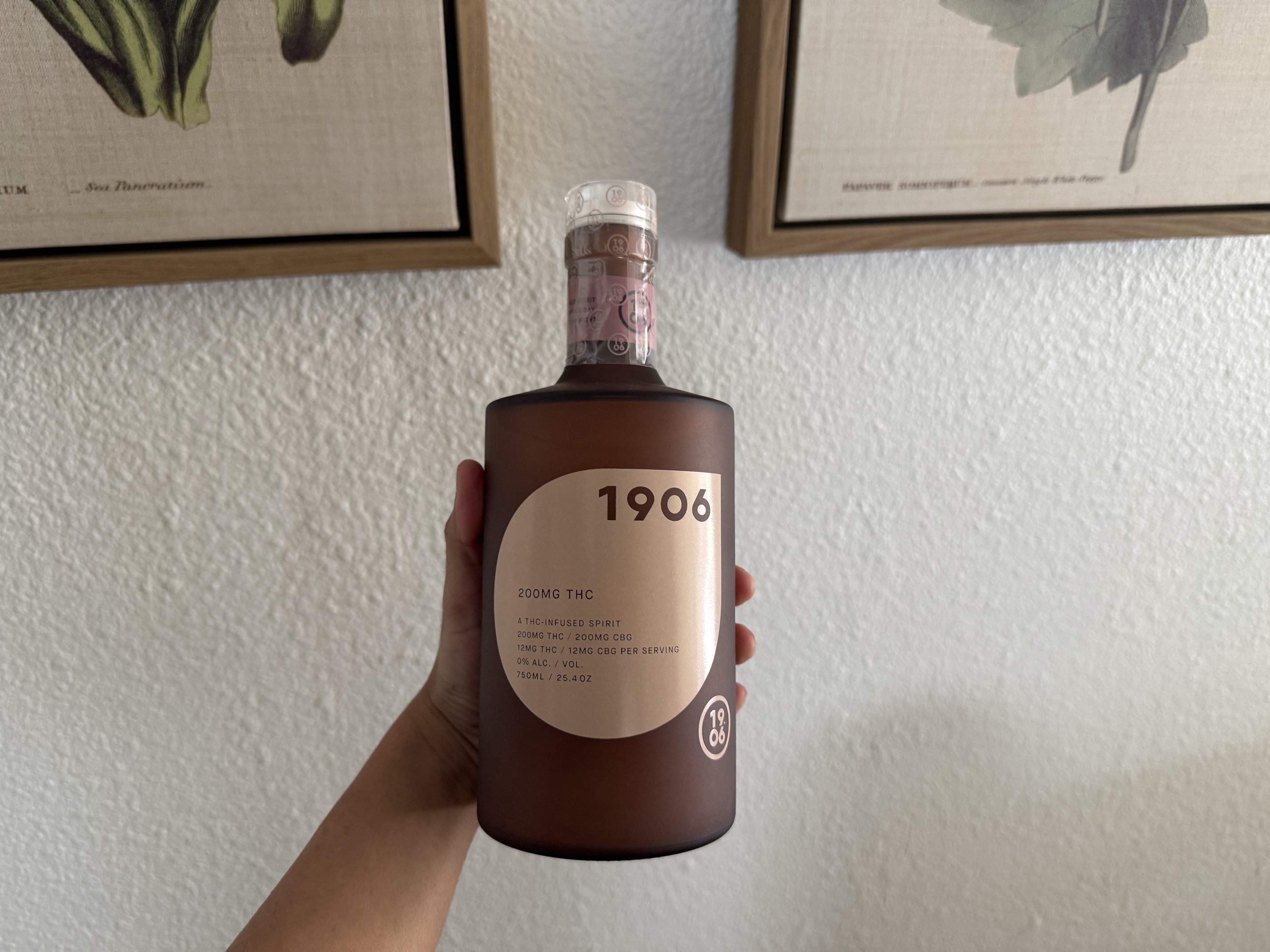 I Tried the “Vodka of Cannabis” and It Actually Makes Sense