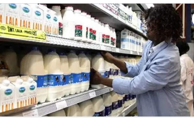 Fresh Twist in Kenya’s Dairy Sector as Ruto Unveils New Milk Prices