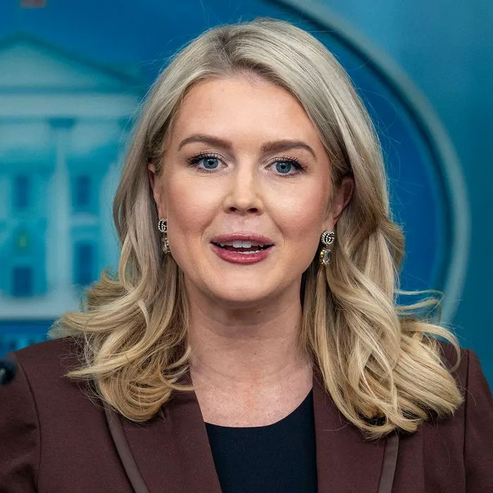 Social Media Losing It Over ‘Disgraceful’ Karoline Leavitt Calling Epstein Files A ‘Classic Washington Hoax’ In Resurfaced Interview Clip: ‘She’s A Mother!’
