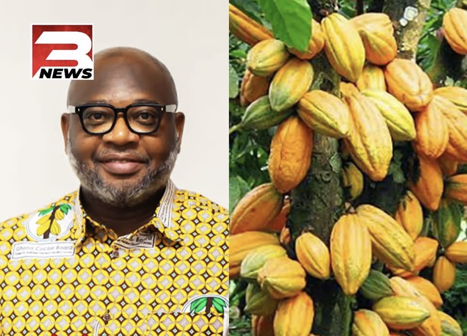 Good News For Cocoa Farmers – COCOBOD Raises GH¢3.3 Billion To Buy Your Cocoa This Season