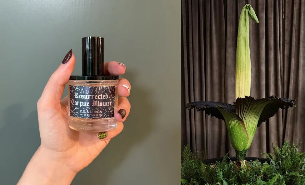 I Tried a Perfume Inspired by the Stinkiest Plant on Earth—and It’s Shockingly Gorgeous