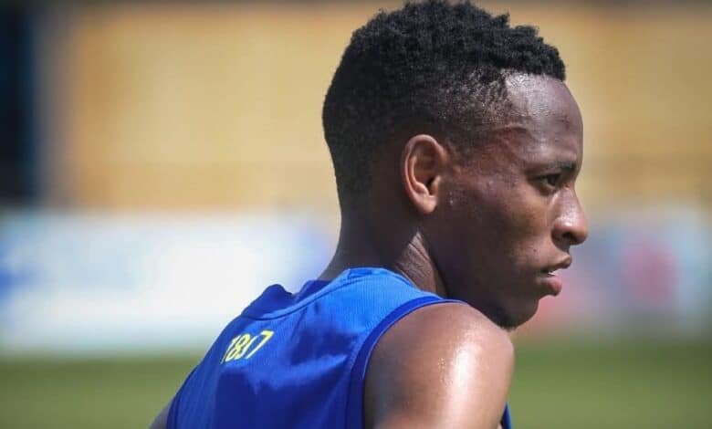 Vaal duo back in action for their European clubs