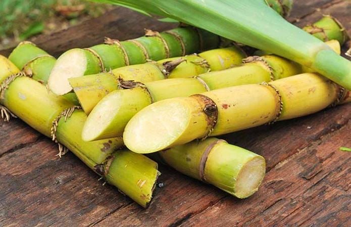Fight These Diseases Naturally by Eating Sugarcane Regularly