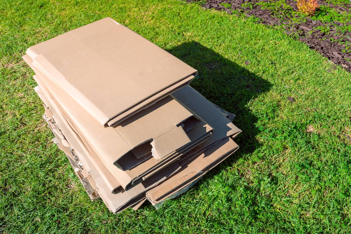 Gardeners told to use cardboard outisde this week