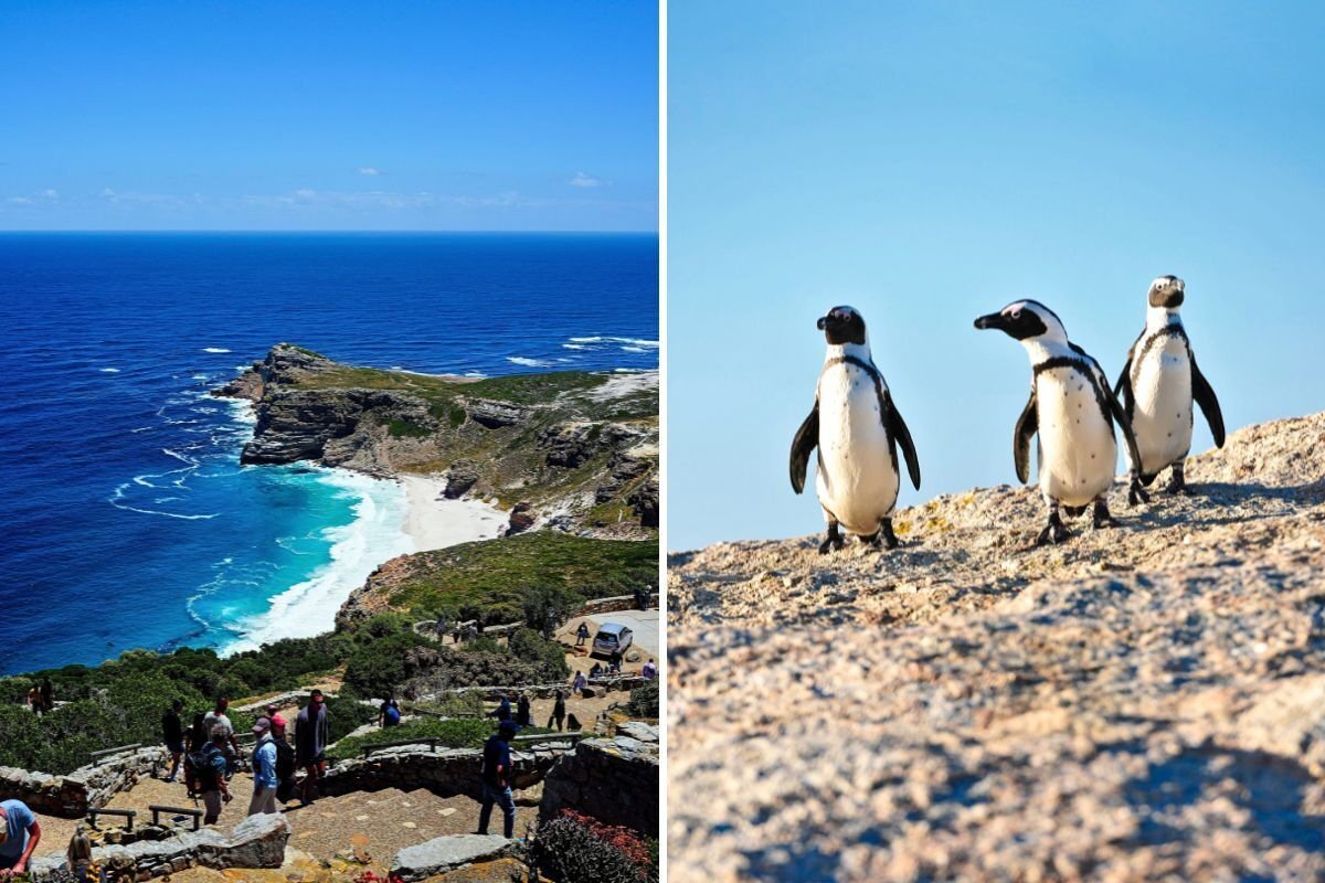 Pensioners can visit Cape Town’s top attractions for R17: Here’s how