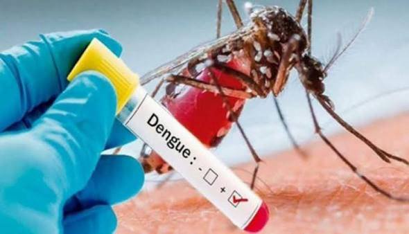 Health authorities warn of FIRs after dengue larvae detection