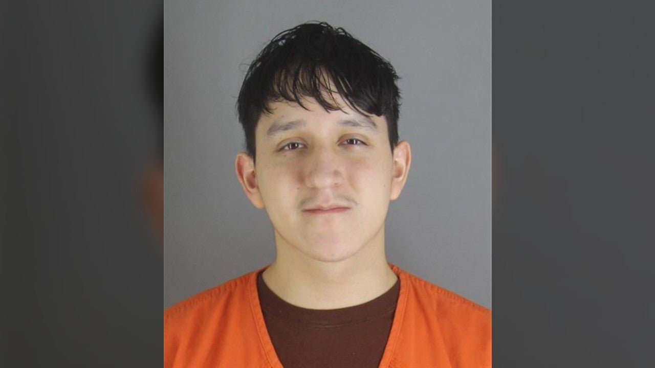 Man Pleads Guilty to Second Attempted Murder