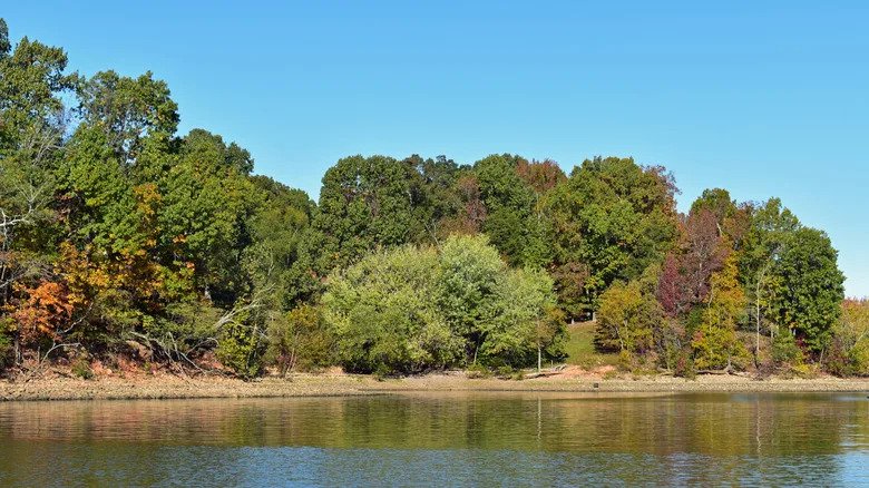 Kentucky’s Peaceful State Park Boasts Scenic Lakefront Views And 18 Holes Of Championship Golf