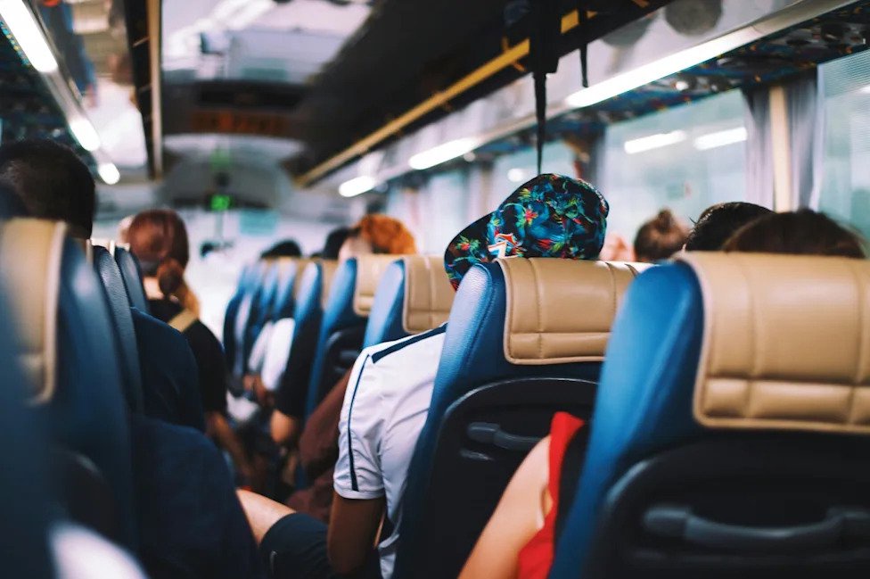 Bus Driver Shares 7 Visitor Habits That Slow Down the Group