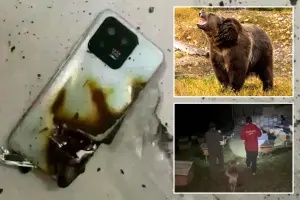 Teen boy, 15, survives bear attack after ‘mobile phone exploded’ in his back pocket as rampaging brown bear mauled him