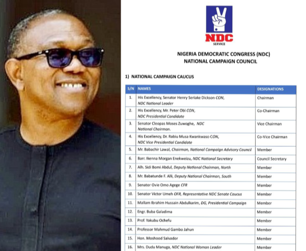 Reactions Trail Names Of People On The Official List Of NDC National Campaign Council
