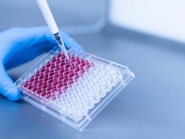 Nigeria National Cancer Biobank Network