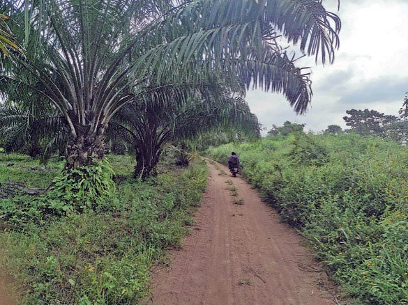Horror in Oyo community