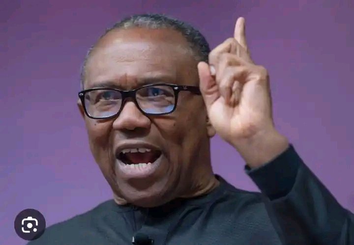 If You Didn’t Attend Primary Or Secondary School Or Forge Your Certificate, You Will Go To Jail —Obi
