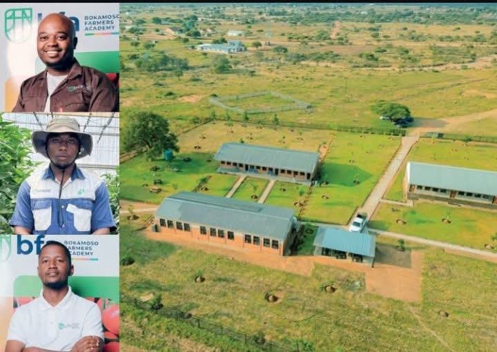 Three Limpopo Cousins Turn Abandoned School Into Academy That Has Trained 20,000 Farm Workers